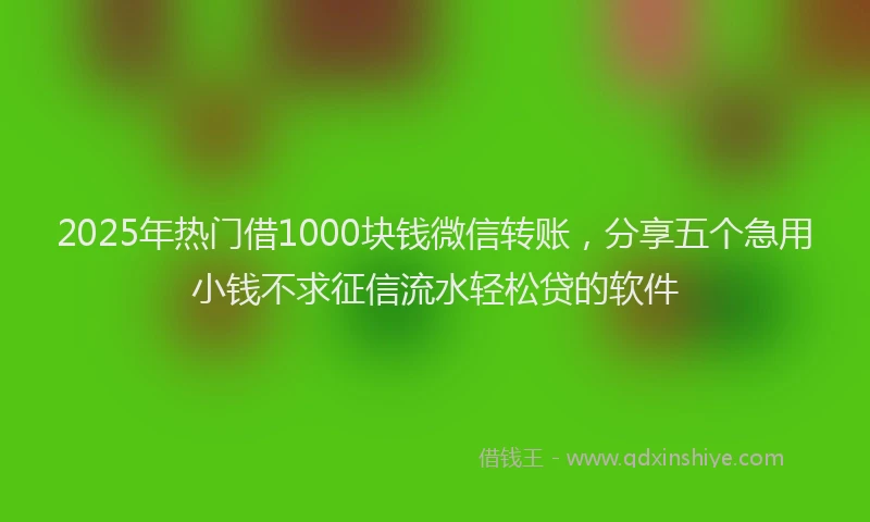 2025年热门借1000块钱微信转账,分享五个急用小钱不求征信流水轻松贷的软件