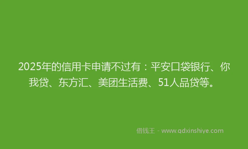 2025年的信用卡申请不过有：平安口袋银行、你我贷、东方汇、美团生活费、51人品贷等。