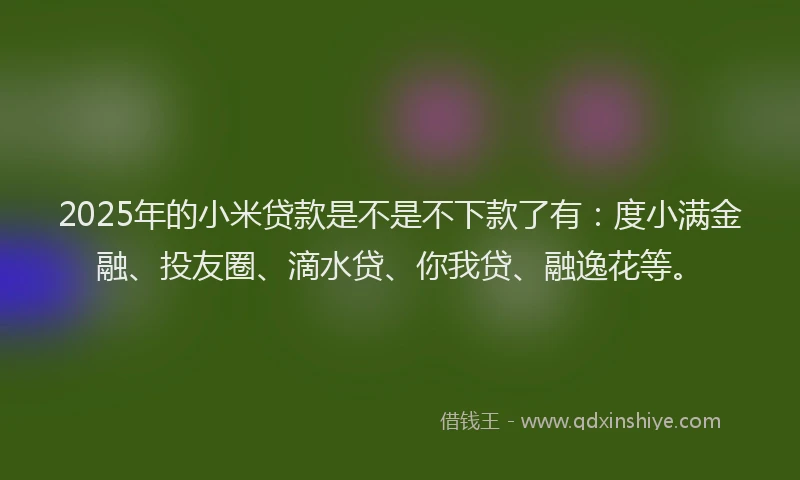 2025年的小米贷款是不是不下款了有：度小满金融、投友圈、滴水贷、你我贷、融逸花等。