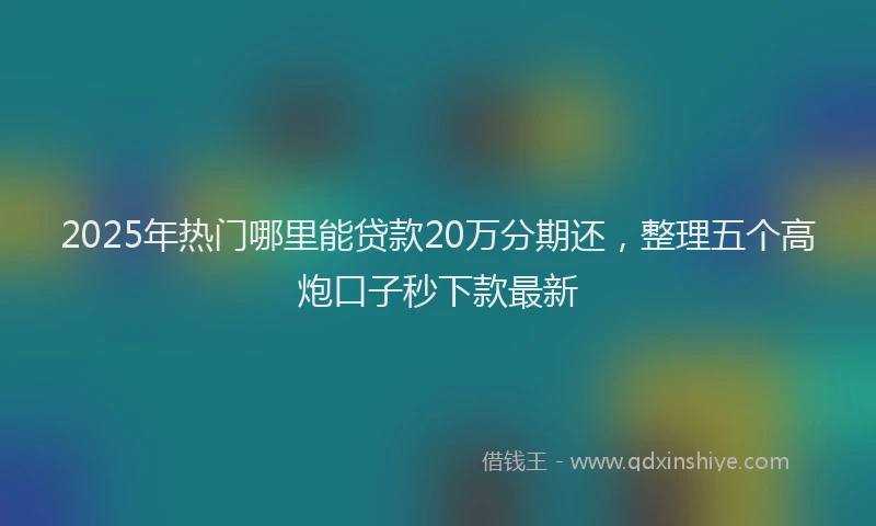2025年热门哪里能贷款20万分期还，整理五个高炮口子秒下款最新