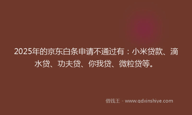 2025年的京东白条申请不通过有：小米贷款、滴水贷、功夫贷、你我贷、微粒贷等。
