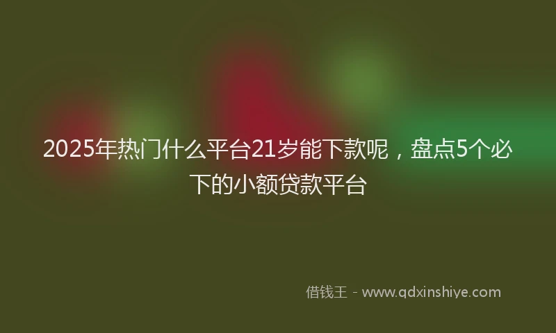 2025年热门什么平台21岁能下款呢，盘点5个必下的小额贷款平台