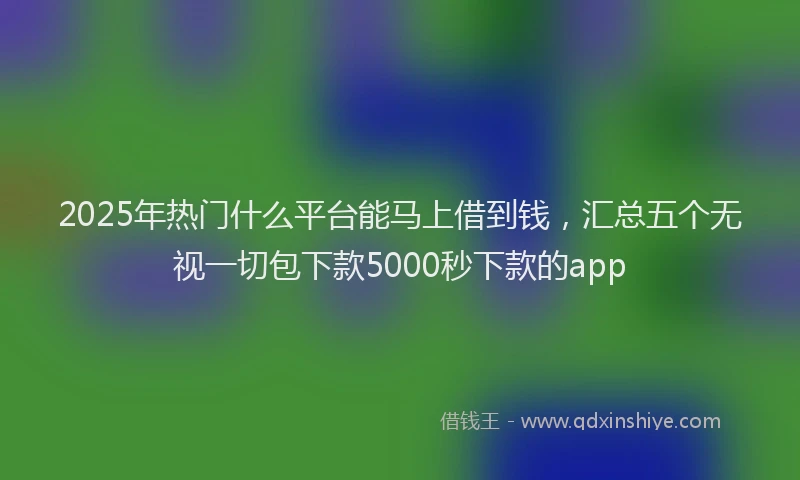 2025年热门什么平台能马上借到钱，汇总五个无视一切包下款5000秒下款的app