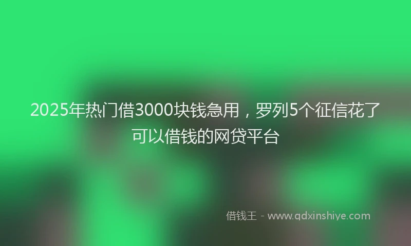 2025年热门借3000块钱急用，罗列5个征信花了可以借钱的网贷平台