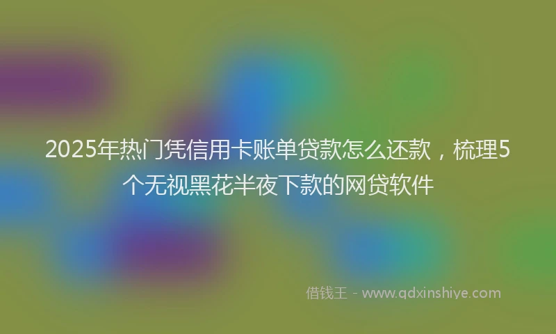 2025年热门凭信用卡账单贷款怎么还款，梳理5个无视黑花半夜下款的网贷软件