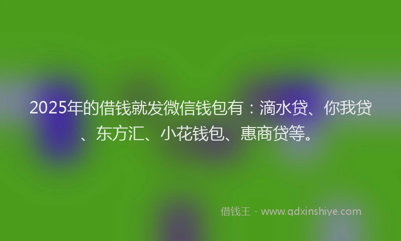 2025年的借钱就发微信钱包有：滴水贷、你我贷、东方汇、小花钱包、惠商贷等。