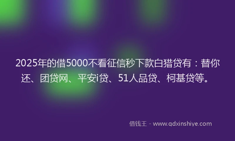 2025年的借5000不看征信秒下款白猎贷有：替你还、团贷网、平安i贷、51人品贷、柯基贷等。