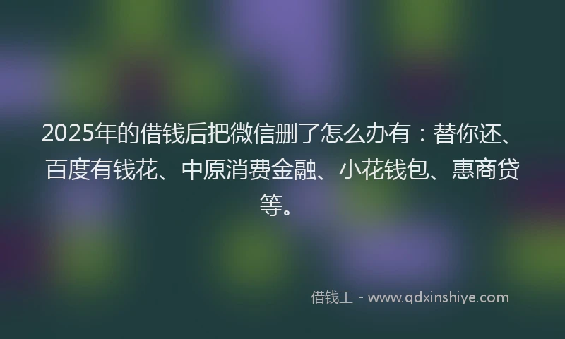 2025年的借钱后把微信删了怎么办有：替你还、百度有钱花、中原消费金融、小花钱包、惠商贷等。