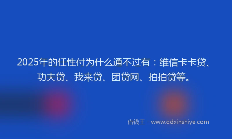 2025年的任性付为什么通不过有：维信卡卡贷、功夫贷、我来贷、团贷网、拍拍贷等。