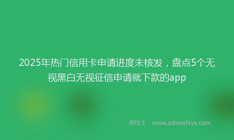 2025年热门信用卡申请进度未核发，盘点5个无视黑白无视征信申请就下款的app