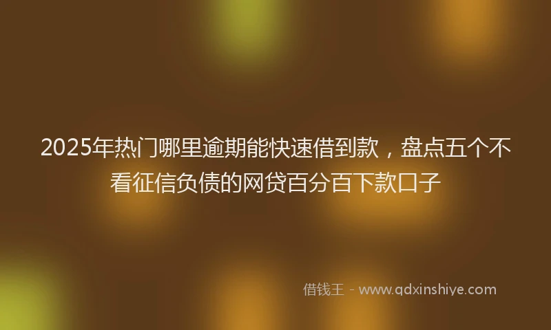 2025年热门哪里逾期能快速借到款，盘点五个不看征信负债的网贷百分百下款口子