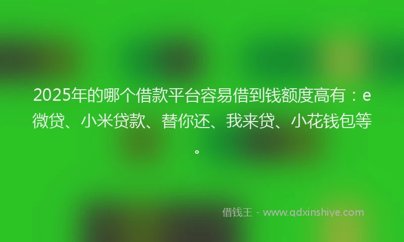 2025年的哪个借款平台容易借到钱额度高有：e微贷、小米贷款、替你还、我来贷、小花钱包等。