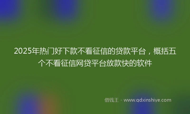 2025年热门好下款不看征信的贷款平台，概括五个不看征信网贷平台放款快的软件