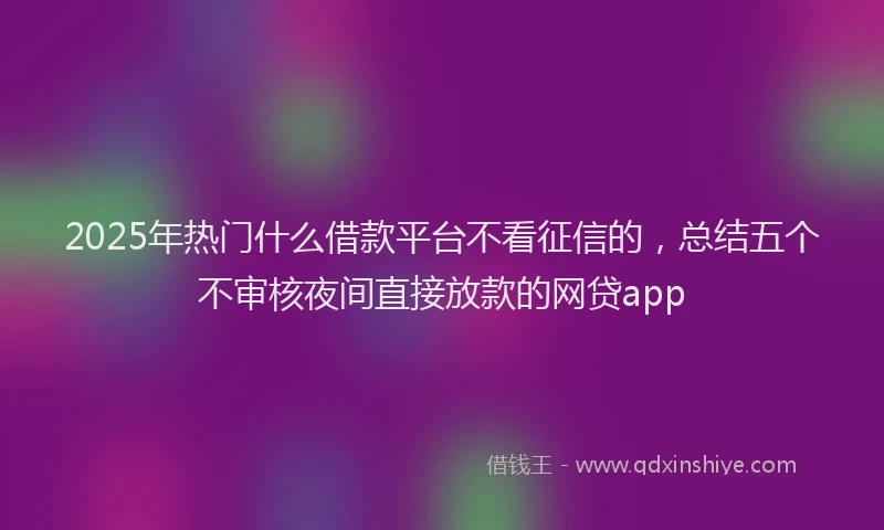 2025年热门什么借款平台不看征信的，总结五个不审核夜间直接放款的网贷app