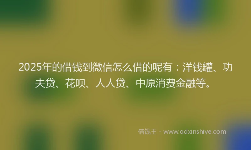 2025年的借钱到微信怎么借的呢有:洋钱罐、功夫贷、花呗、人人贷、中原消费金融等。