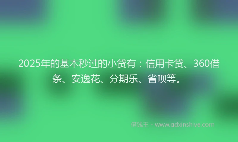 2025年的基本秒过的小贷有：信用卡贷、360借条、安逸花、分期乐、省呗等。