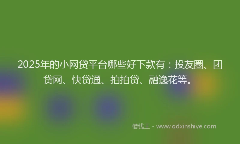 2025年的小网贷平台哪些好下款有：投友圈、团贷网、快贷通、拍拍贷、融逸花等。