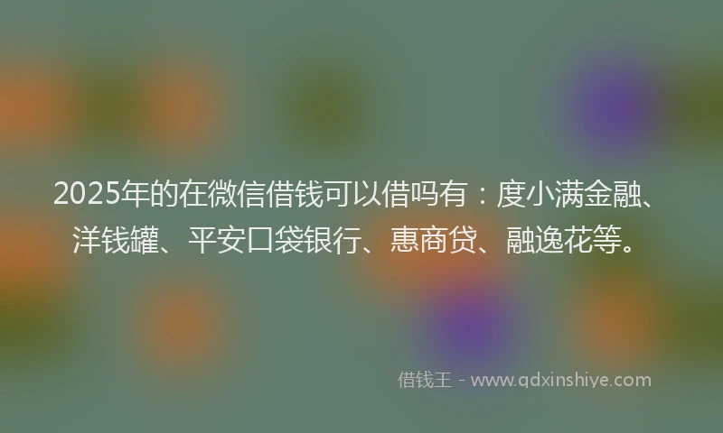 2025年的在微信借钱可以借吗有：度小满金融、洋钱罐、平安口袋银行、惠商贷、融逸花等。