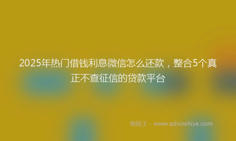 2025年热门借钱利息微信怎么还款，整合5个真正不查征信的贷款平台