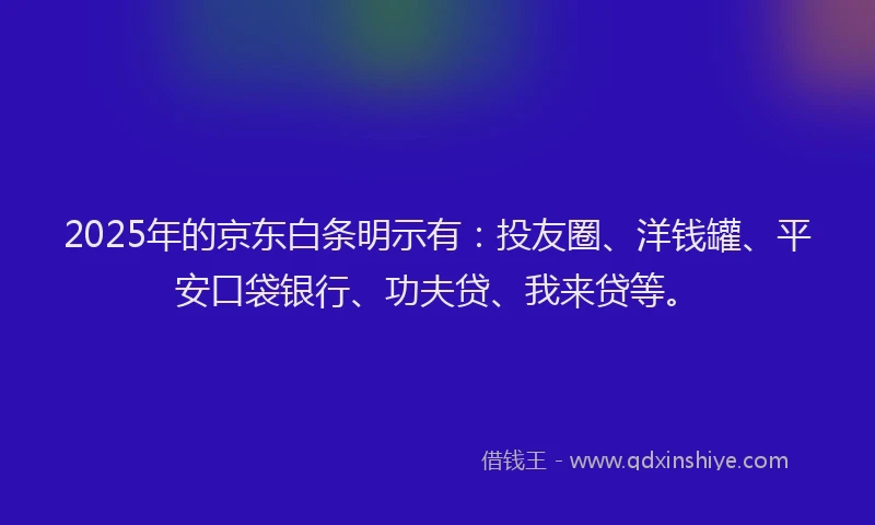2025年的京东白条明示有：投友圈、洋钱罐、平安口袋银行、功夫贷、我来贷等。