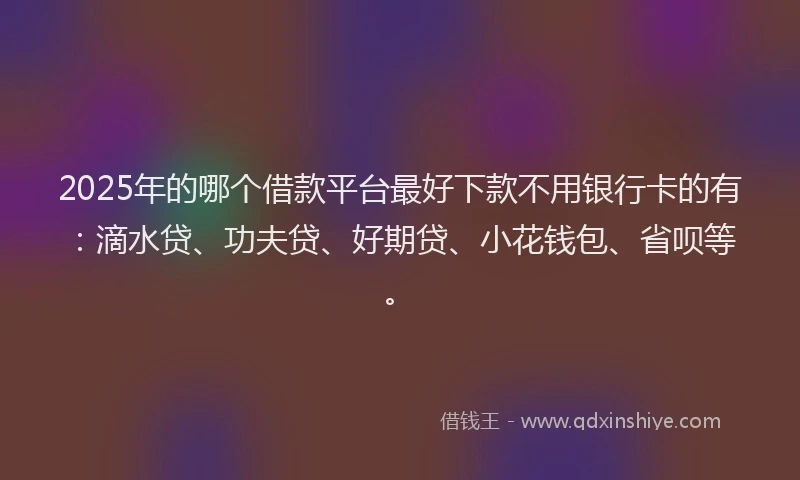2025年的哪个借款平台最好下款不用银行卡的有：滴水贷、功夫贷、好期贷、小花钱包、省呗等。