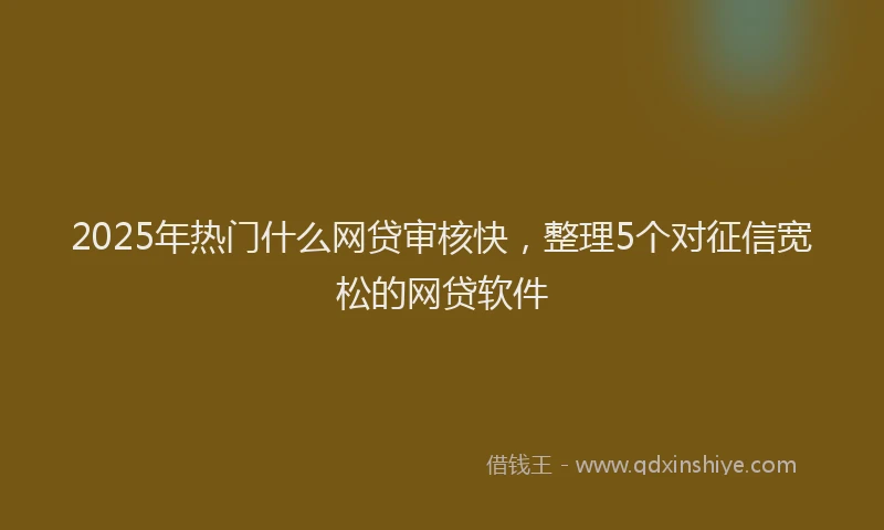 2025年热门什么网贷审核快，整理5个对征信宽松的网贷软件