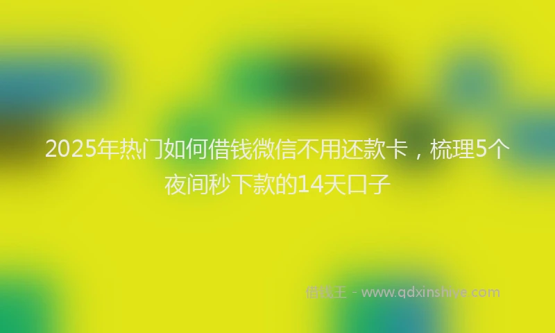 2025年热门如何借钱微信不用还款卡，梳理5个夜间秒下款的14天口子