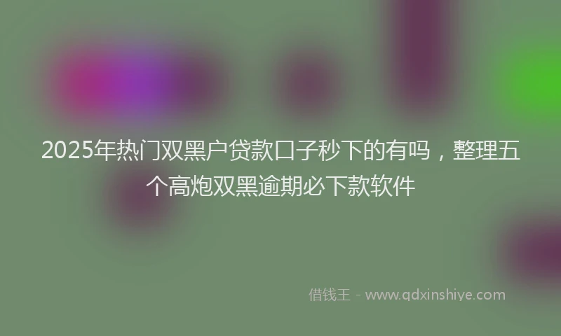 2025年热门双黑户贷款口子秒下的有吗，整理五个高炮双黑逾期必下款软件