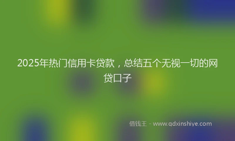 2025年热门信用卡贷款，总结五个无视一切的网贷口子
