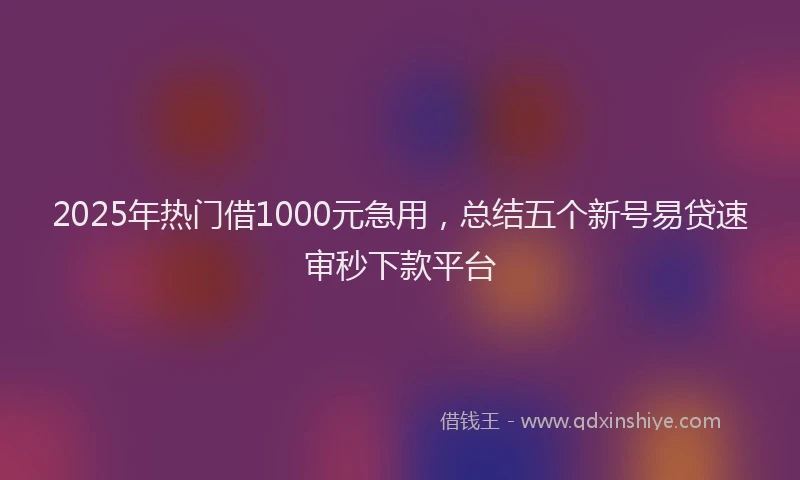 2025年热门借1000元急用，总结五个新号易贷速审秒下款平台