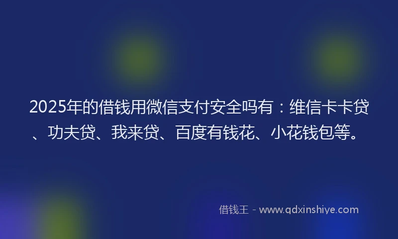 2025年的借钱用微信支付安全吗有：维信卡卡贷、功夫贷、我来贷、百度有钱花、小花钱包等。