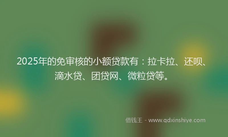 2025年的免审核的小额贷款有：拉卡拉、还呗、滴水贷、团贷网、微粒贷等。