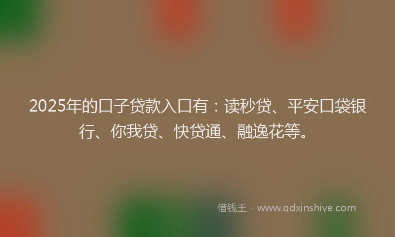 2025年的口子贷款入口有：读秒贷、平安口袋银行、你我贷、快贷通、融逸花等。