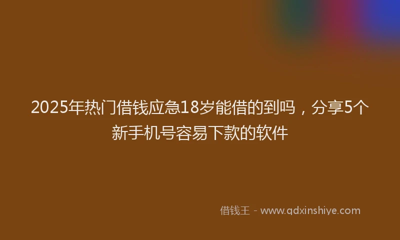 2025年热门借钱应急18岁能借的到吗，分享5个新手机号容易下款的软件