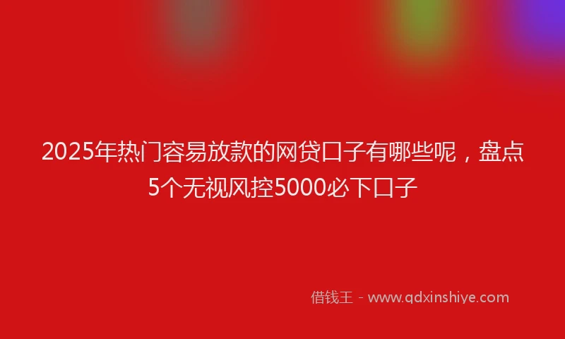 2025年热门容易放款的网贷口子有哪些呢，盘点5个无视风控5000必下口子