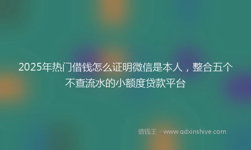 2025年热门借钱怎么证明微信是本人，整合五个不查流水的小额度贷款平台