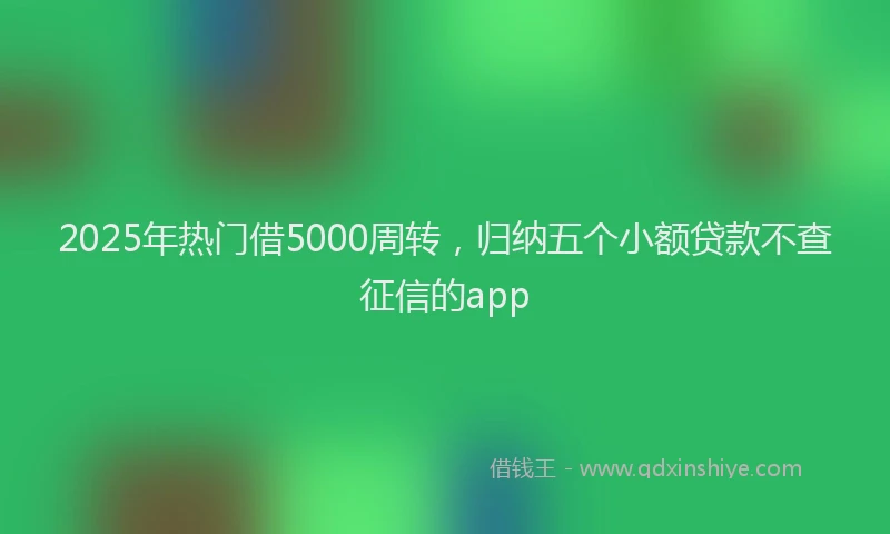 2025年热门借5000周转，归纳五个小额贷款不查征信的app