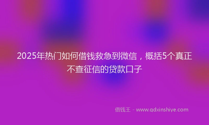 2025年热门如何借钱救急到微信，概括5个真正不查征信的贷款口子