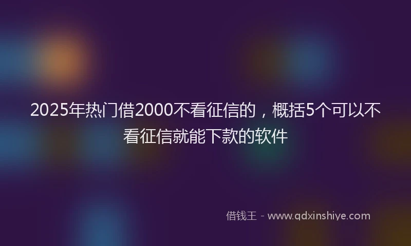 2025年热门借2000不看征信的，概括5个可以不看征信就能下款的软件
