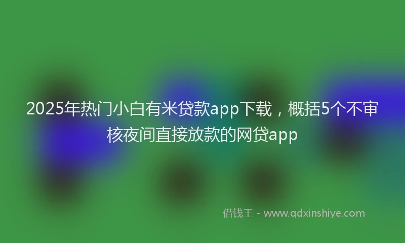 2025年热门小白有米贷款app下载，概括5个不审核夜间直接放款的网贷app