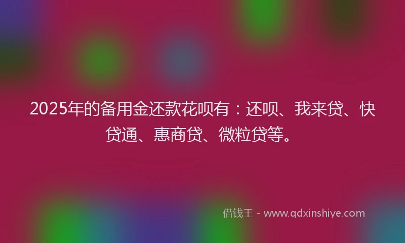 2025年的备用金还款花呗有：还呗、我来贷、快贷通、惠商贷、微粒贷等。