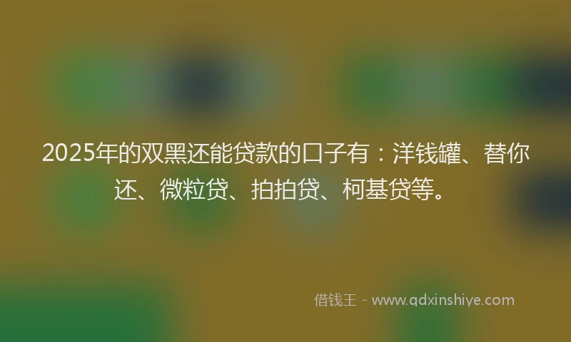2025年的双黑还能贷款的口子有：洋钱罐、替你还、微粒贷、拍拍贷、柯基贷等。