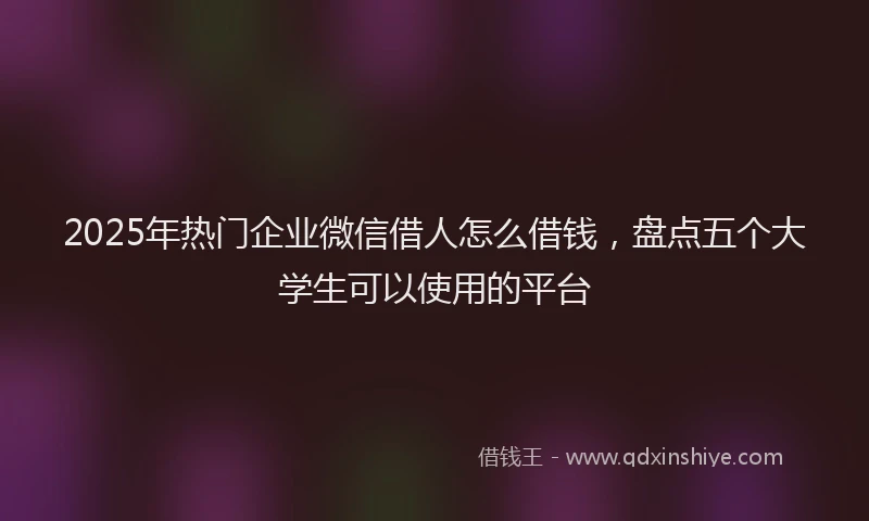 2025年热门企业微信借人怎么借钱，盘点五个大学生可以使用的平台