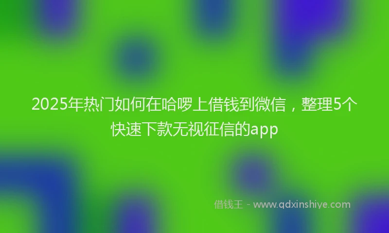 2025年热门如何在哈啰上借钱到微信，整理5个快速下款无视征信的app