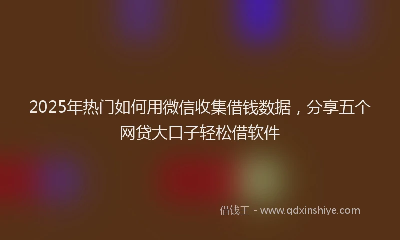 2025年热门如何用微信收集借钱数据，分享五个网贷大口子轻松借软件