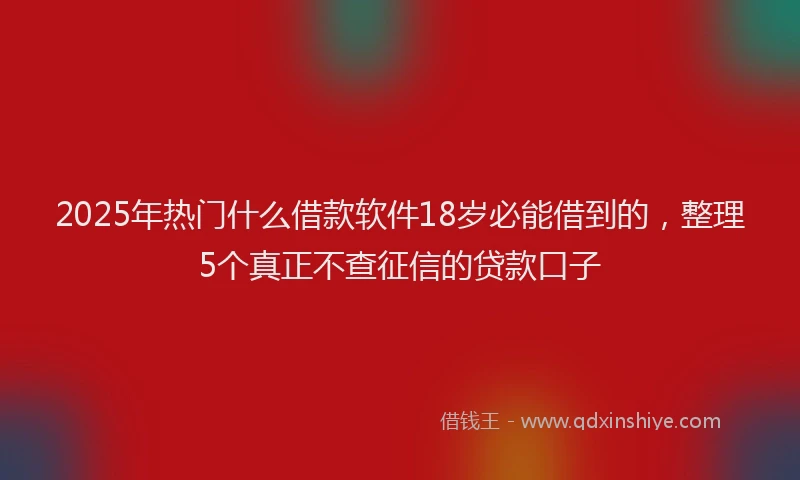 2025年热门什么借款软件18岁必能借到的，整理5个真正不查征信的贷款口子