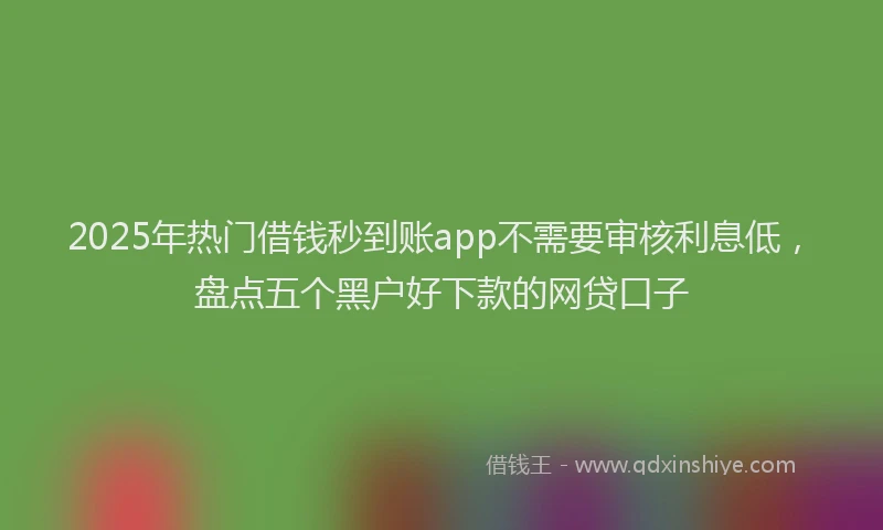 2025年热门借钱秒到账app不需要审核利息低，盘点五个黑户好下款的网贷口子