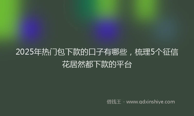 2025年热门包下款的口子有哪些，梳理5个征信花居然都下款的平台