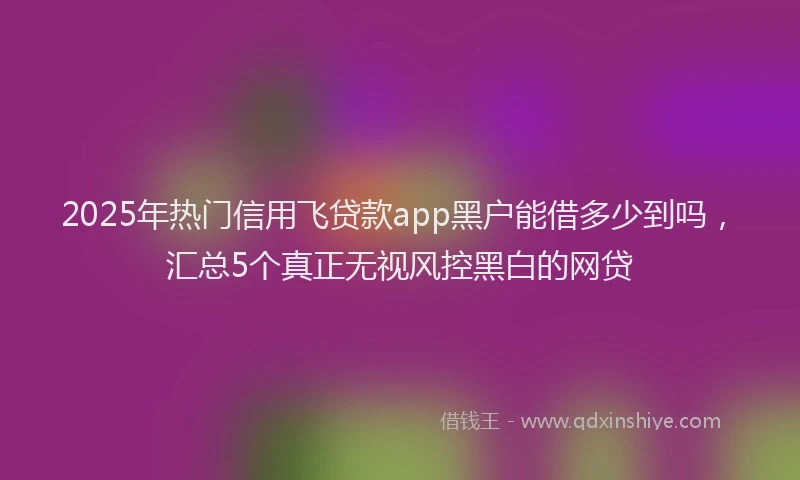 2025年热门信用飞贷款app黑户能借多少到吗，汇总5个真正无视风控黑白的网贷