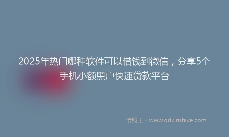 2025年热门哪种软件可以借钱到微信，分享5个手机小额黑户快速贷款平台